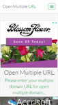 Mobile Screenshot of openmultipleurl.com